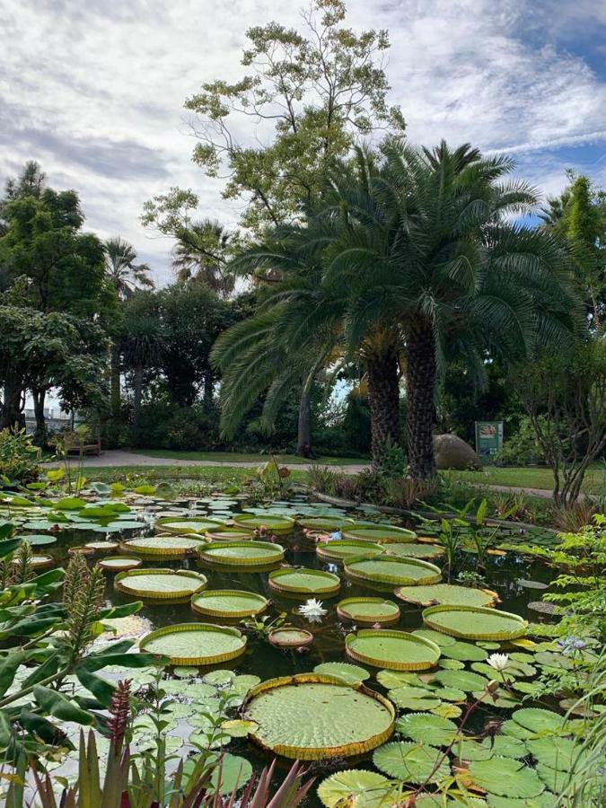 Le Phoebus Apartment Roquebrune-Cap-Martin Bagian luar foto